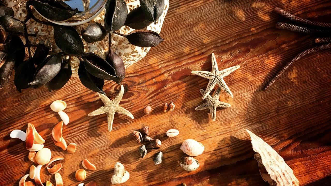 Sally Del Mar - Nudist Naturist L'Île-Rousse Dış mekan fotoğraf